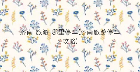 济南 旅游 哪里停车(济南旅游停车攻略)